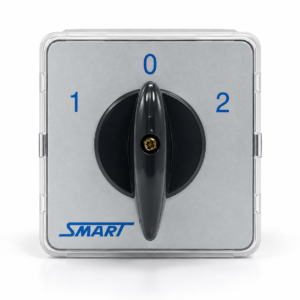 Change Over Switch P250 (2-Pole)